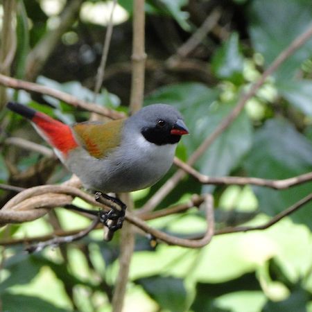Kingfisher Country House Wildernis Exterior foto