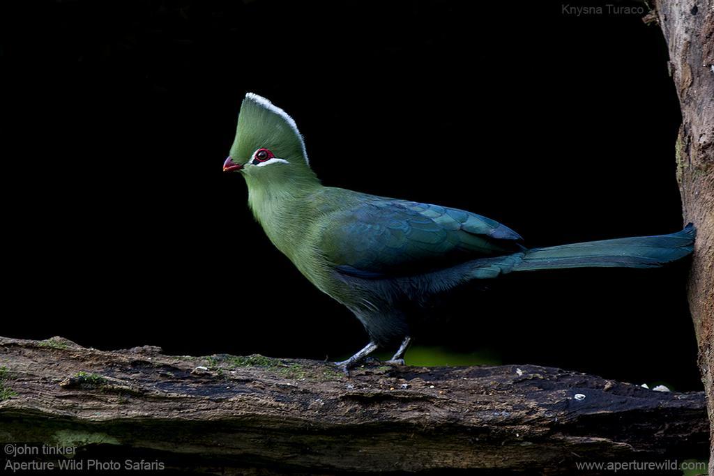 Kingfisher Country House Wildernis Exterior foto