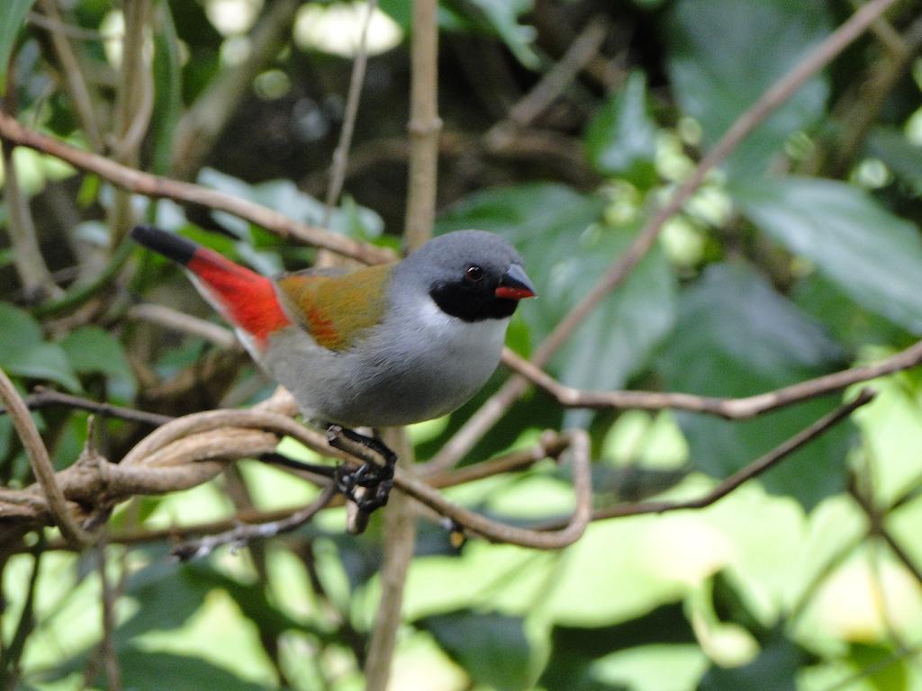 Kingfisher Country House Wildernis Exterior foto